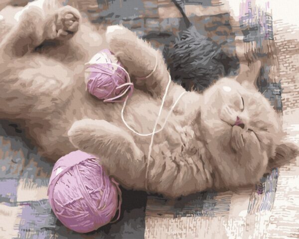 pisicuta cu ghem de lana picturi pe numere