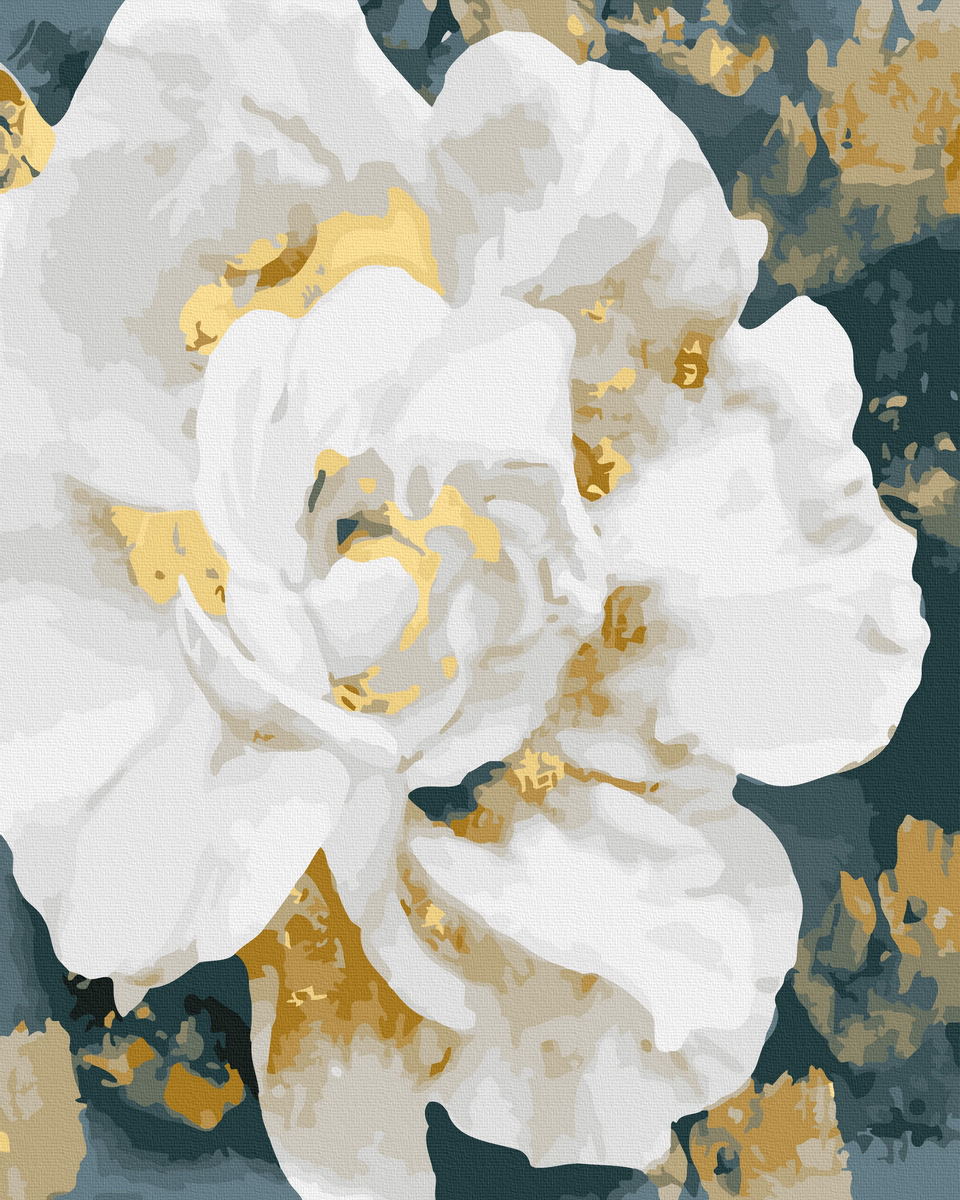 pictura pe numere-white flower