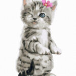 Pictură pe numere - Pisicuta haioasa