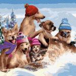 Pictura pe numere Acuarello GX35706