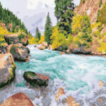 Pictura pe numere Acuarello GX36546